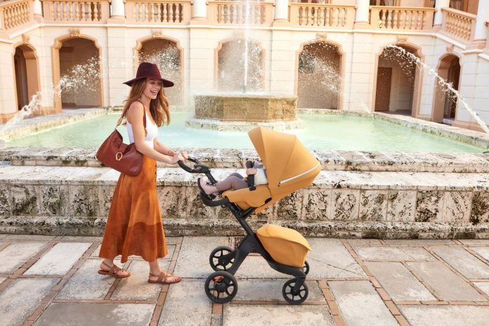 Collections_Banner_3